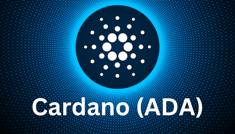 ADA对冲实战技巧，如何在币圈击败99%的人 - php中文网