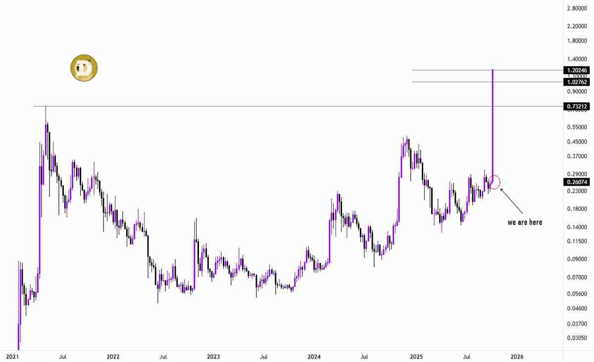 一文详细了解上次该指标亮起绿色时，狗狗币（DOGE）价格上涨了445%