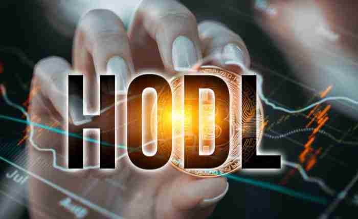 加密货币中的HODL(Hold On for Dear Life)是什么?如何影响金融文化?一文详解