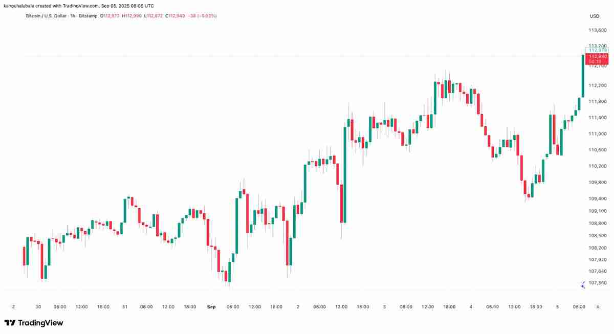 比特币分析师预警：BTC价格收复11.2万美元后将现“巨幅”波动