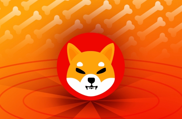 如何用一千元在币圈一周翻十倍 - php中文网