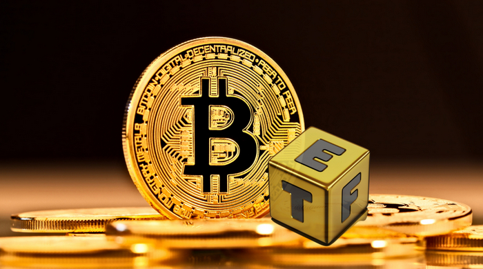 Doge ETF是什么？在哪里可以购买Doge ETF？ - php中文网