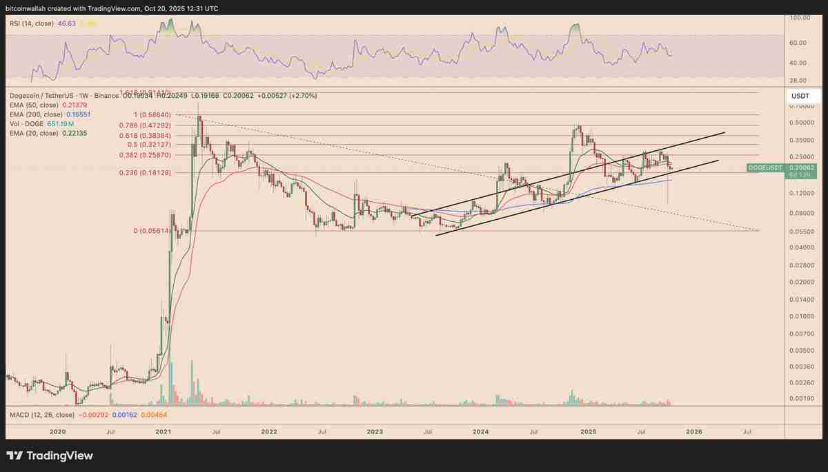喜报：狗狗币价格在马斯克发布DOGE相关帖子后有望上涨25%