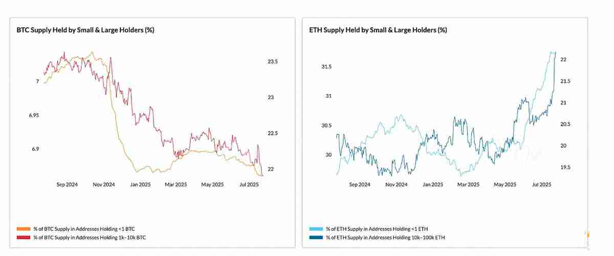 Coin Metrics深度分析：推动加密市场飙升至4万亿美元的关键因素