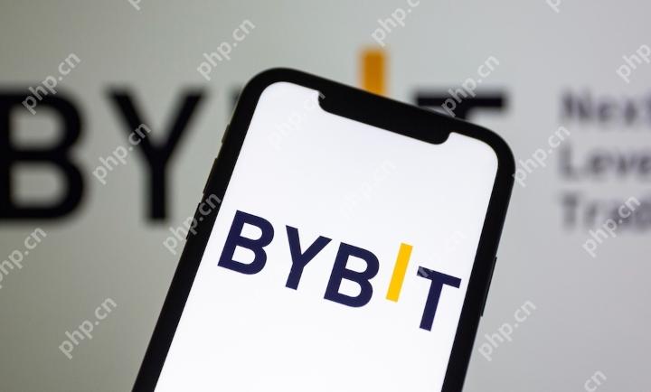 Bybit交易所官方入口网站地址 Bybit官网手机APP下载链接 - php中文网