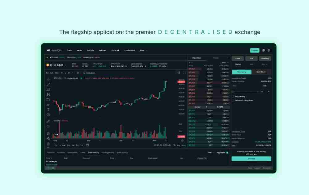 什么是Hyperliquid (HYPE)币？未来前景如何？HYPE币2025, 2026-2030年价格预测
