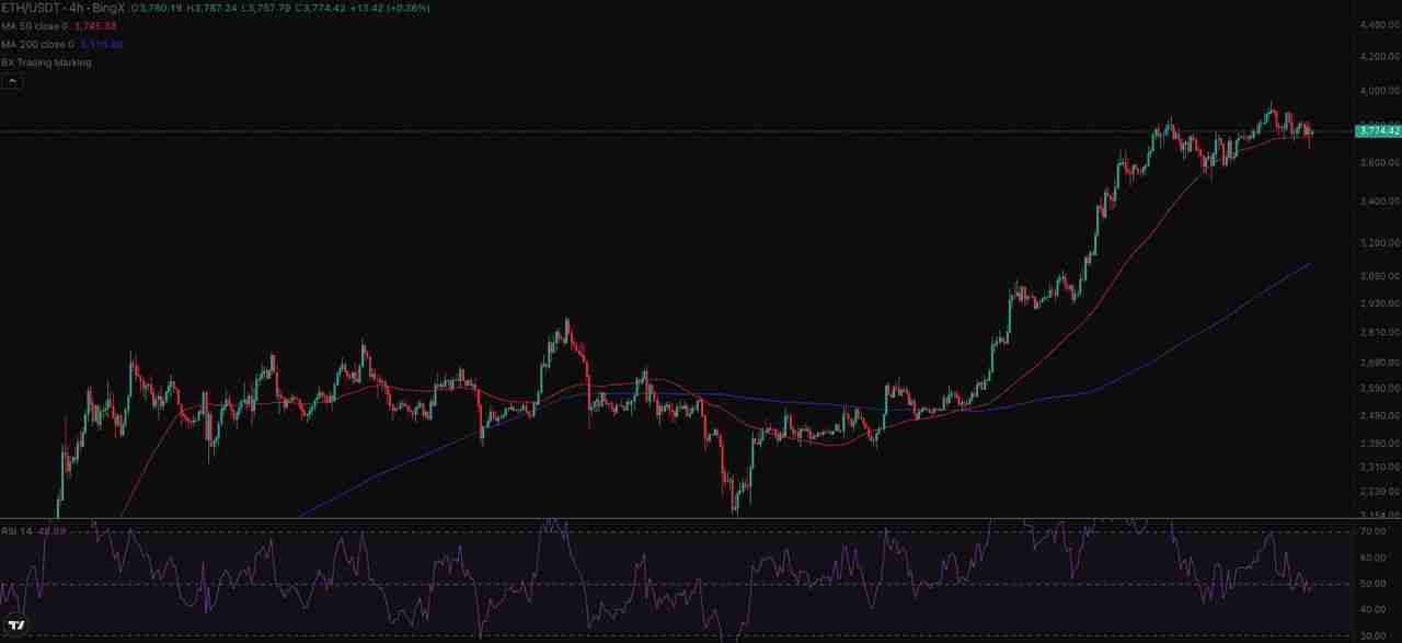 如何使用ChatGPT 进行加密货币？功能用法指南