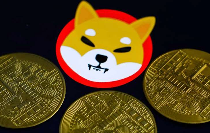 Shiba Inu（SHIB）价格预测：2025年、2030年走势如何