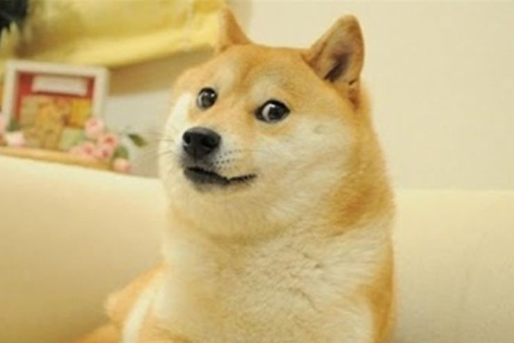 8月链上热门 meme top 5 有哪些？ - php中文网