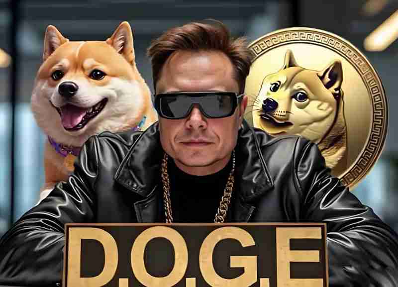 马斯克发文喊话“把狗狗币（DOGE）真正送上月球的时机到了”