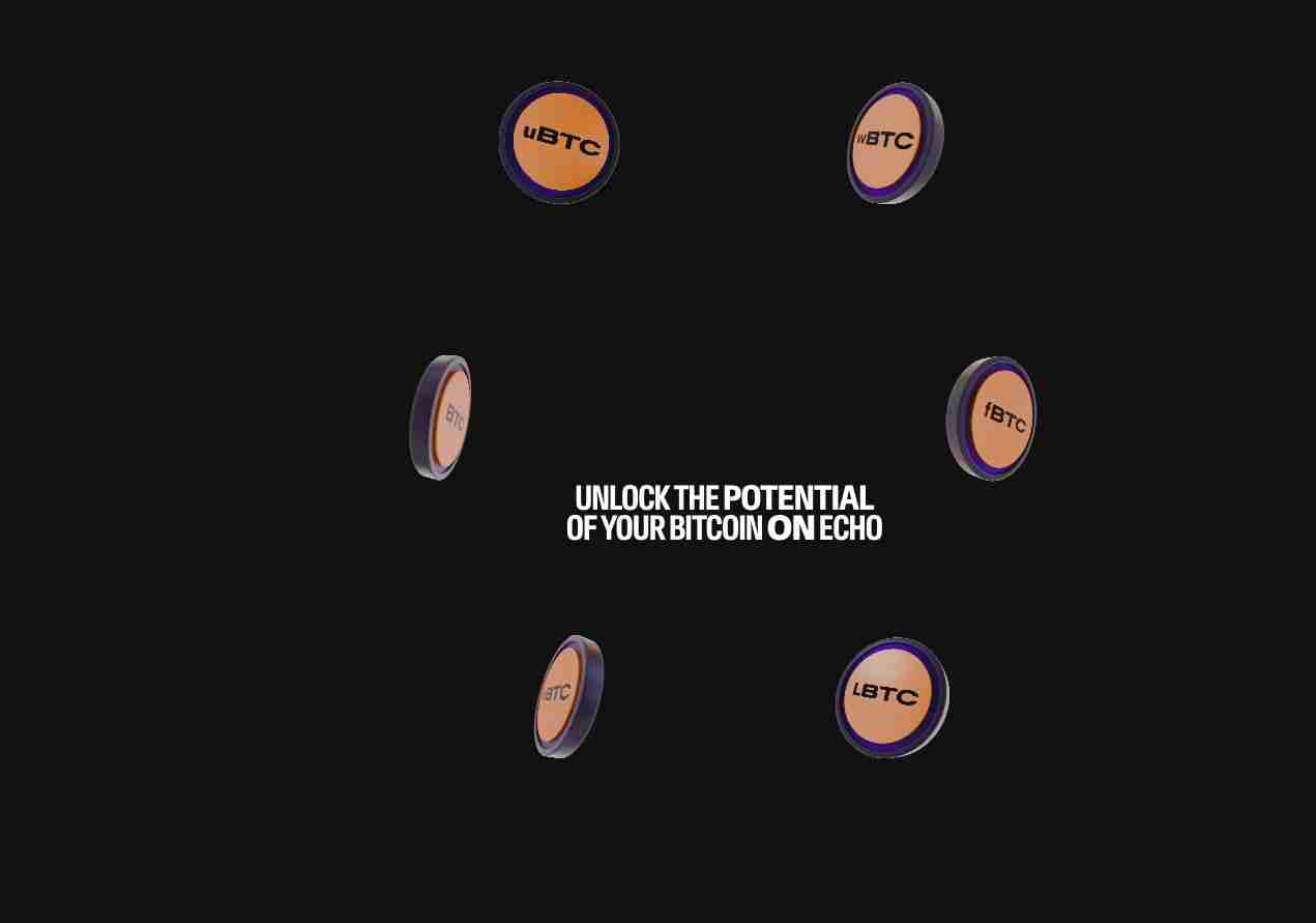 Echo协议（ECHO）是什么？ECHO价格预测2025年，2026-2030年