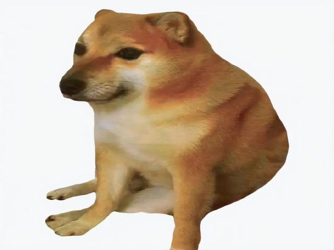 狗狗币到现在涨了多少倍？最高涨了多少倍？ - php中文网