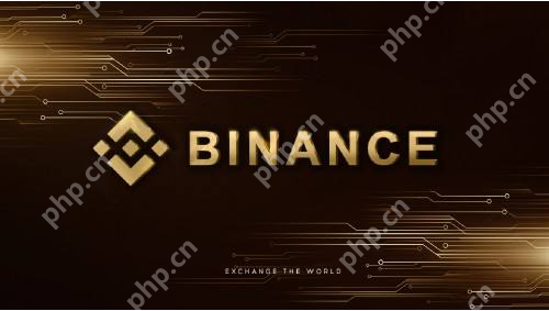 客服小何是什么币？币安新上线项目全解析 - php中文网