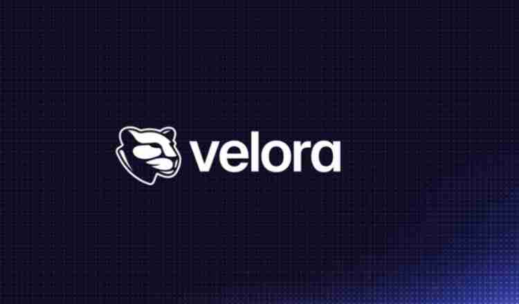 Velora(VLR)币是什么?怎么样?Velora项目概述,代币经济与未来发展介绍