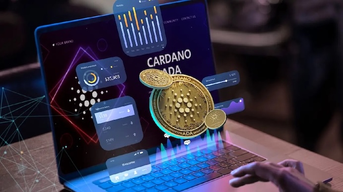 加密货币投资教学：币圈新手必看七步骤入门指南！ - php中文网