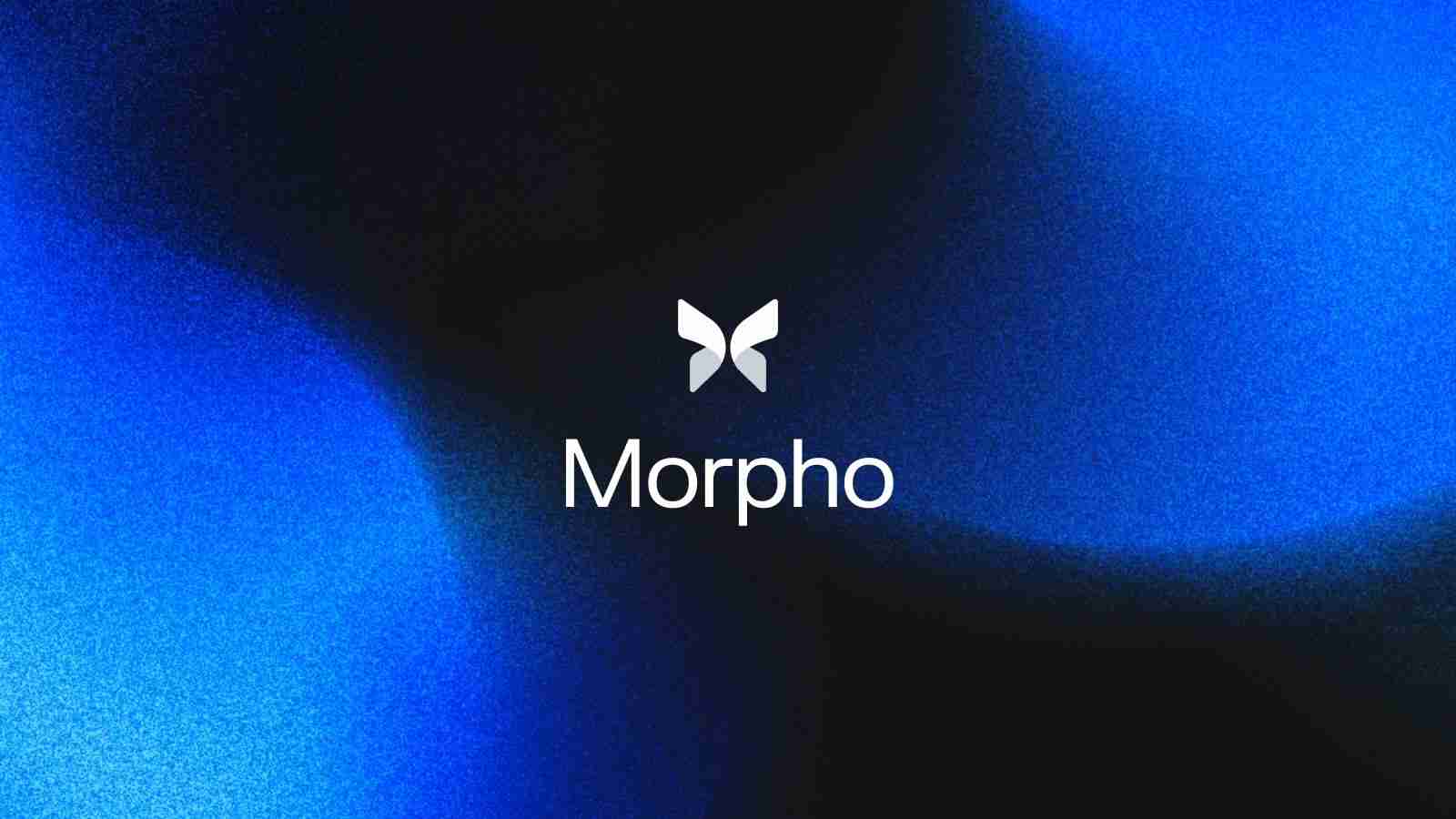 什么是morpho（$morpho）？morpho特点、工作原理及注意事项