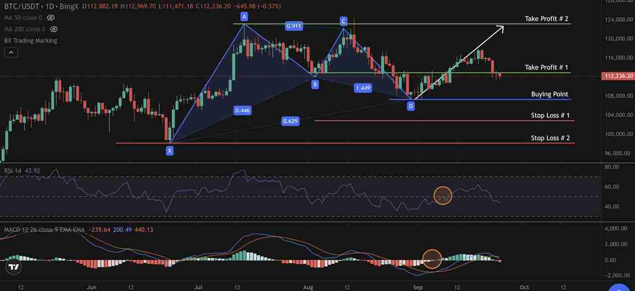 什么是 Gartley(伽特力) 模式？如何利用它找出加密货币市场反转点的技巧