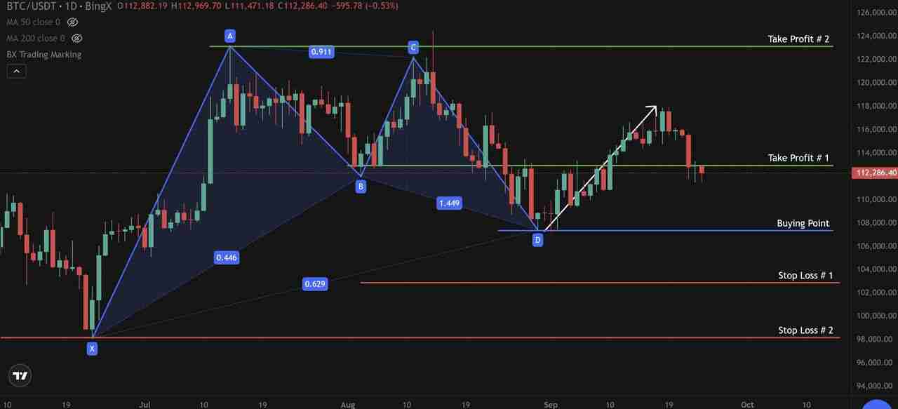 什么是 Gartley(伽特力) 模式？如何利用它找出加密货币市场反转点的技巧