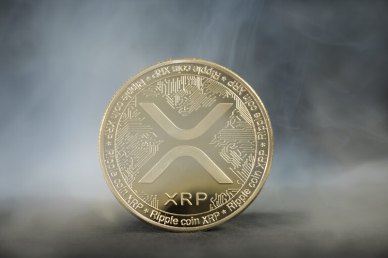 瑞波币（xrp）是什么？怎么买？瑞波币概述、购买指南 - php中文网