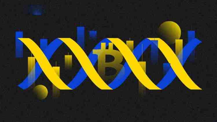 比特币波动性是什么?如何衡量与管理?一文详解