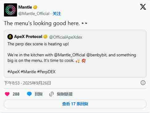 ApeX 币是什么？9月币价为何暴涨5倍？技术特色、未来展望全方位解析