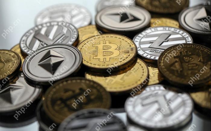 “韭菜”、“钻石手”是什么意思？币圈黑话大盘点！ - php中文网